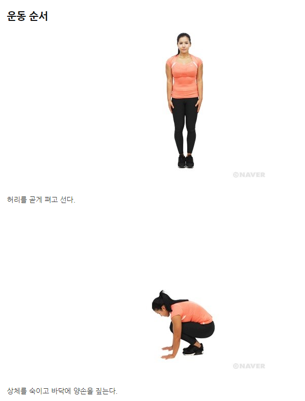 버피 테스트