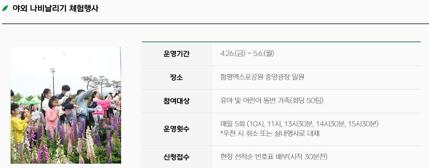 함평 나비축제
