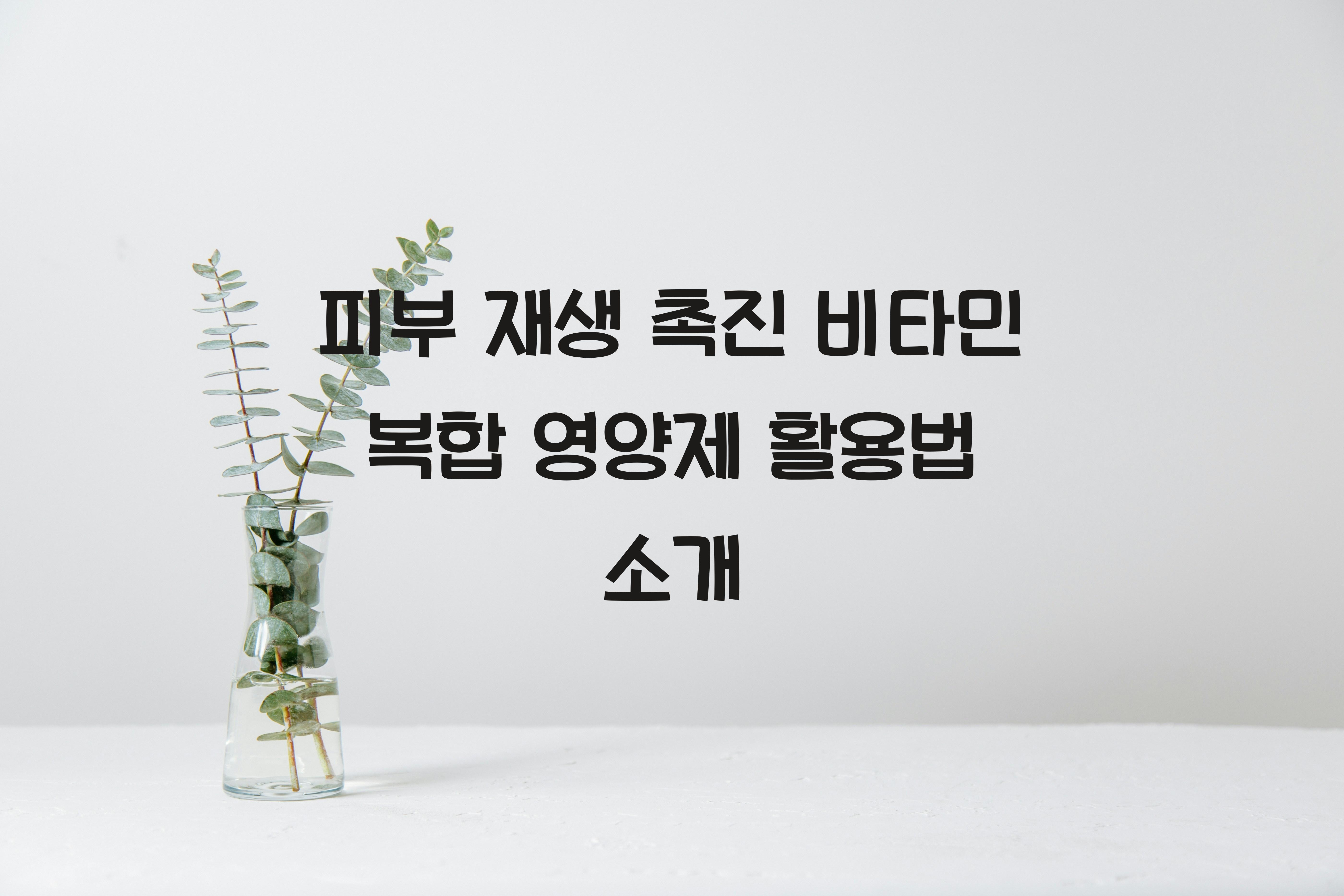 피부 재생 촉진 비타민 복합 영양제