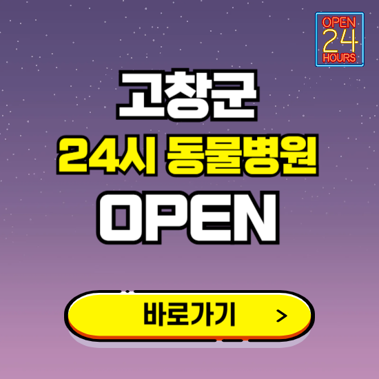 고창군 24시 동물병원 진료하는 곳 ❘ 설날 휴일 야간 심야 문여는곳 찾기 ❘ 응급진료