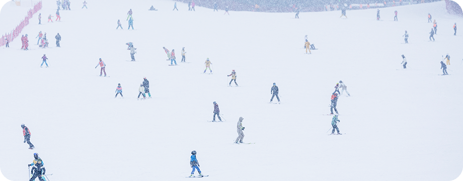 모나용평 스키장 스키어/보더 이미지 / 출처: 모나 용평