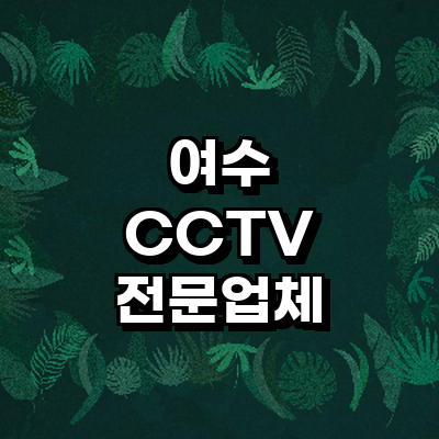 여수시 cctv