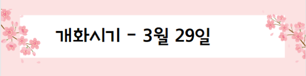 봄꽃 여행지