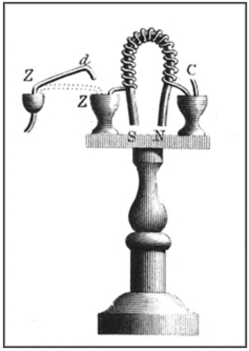 Sturgeon