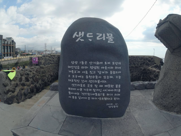 샛도리물