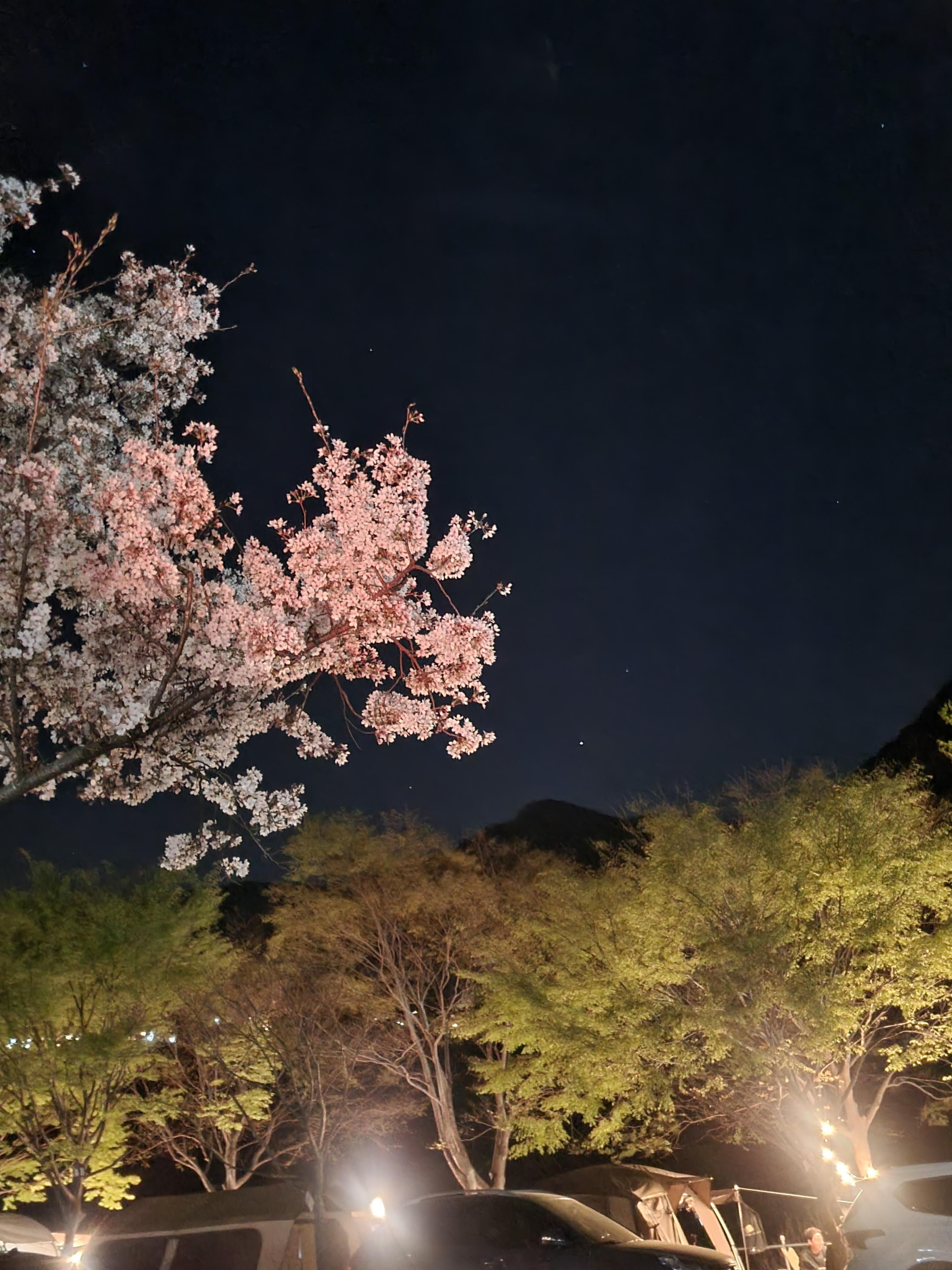 밀양 산여울 캠핑장