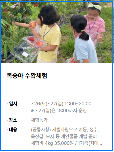 2025 조치원복숭아축제 총정리