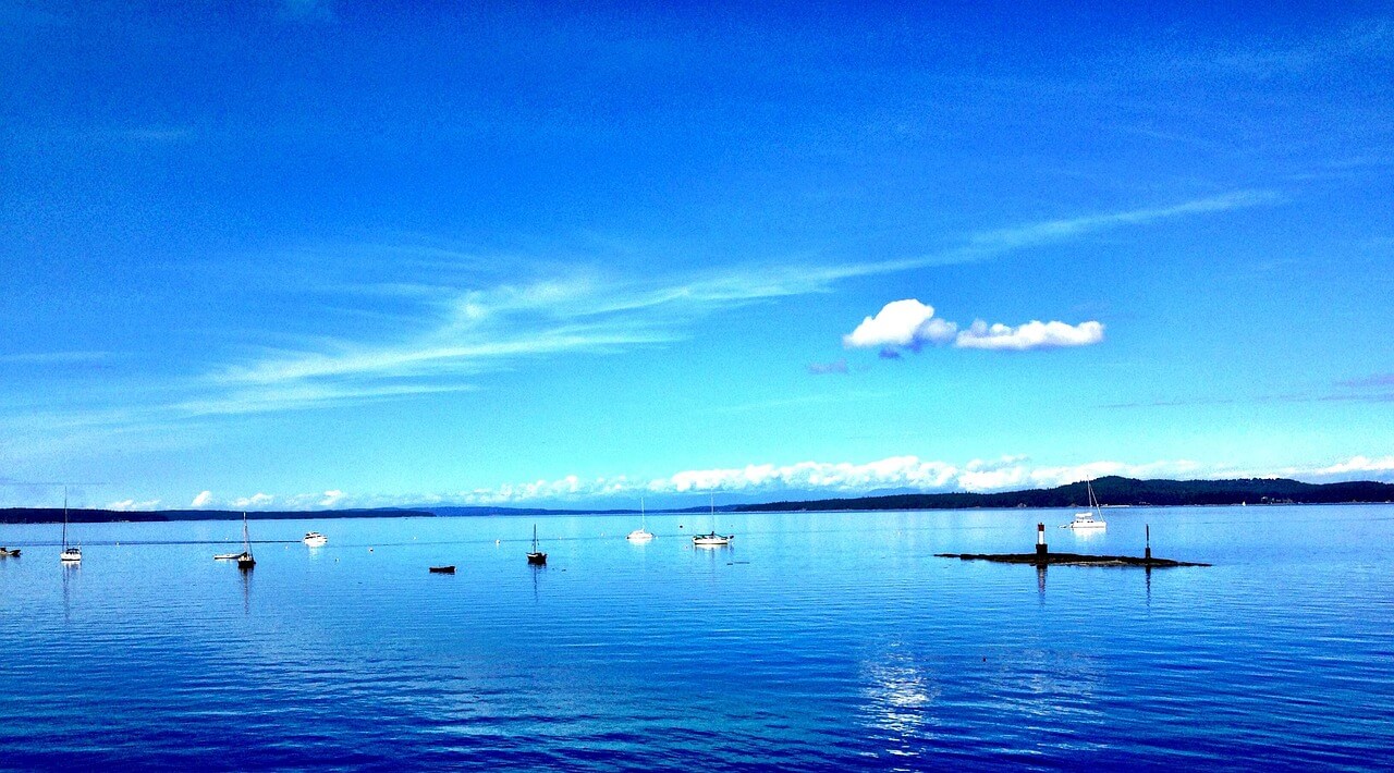 캐나다 대중교통 완전 정복: 메트로, 버스, 요금제 등