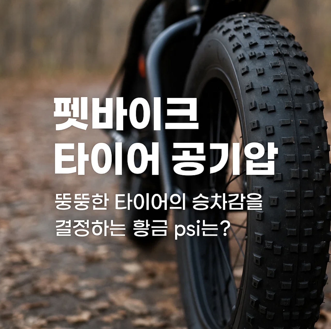 펫바이크 타이어 공기압, 뚱뚱한 타이어의 승차감을 결정하는 황금 psi는?