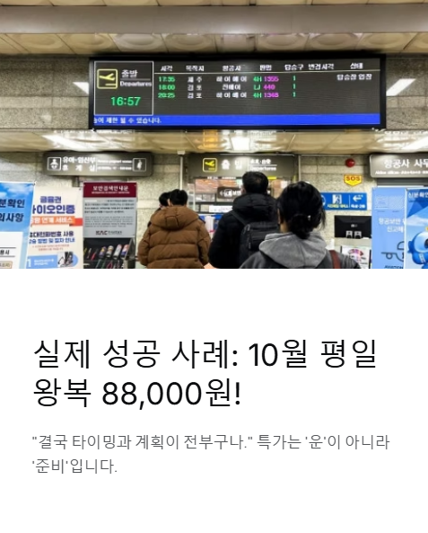 실제 성공 사례 10월 평일 왕복 88,000원