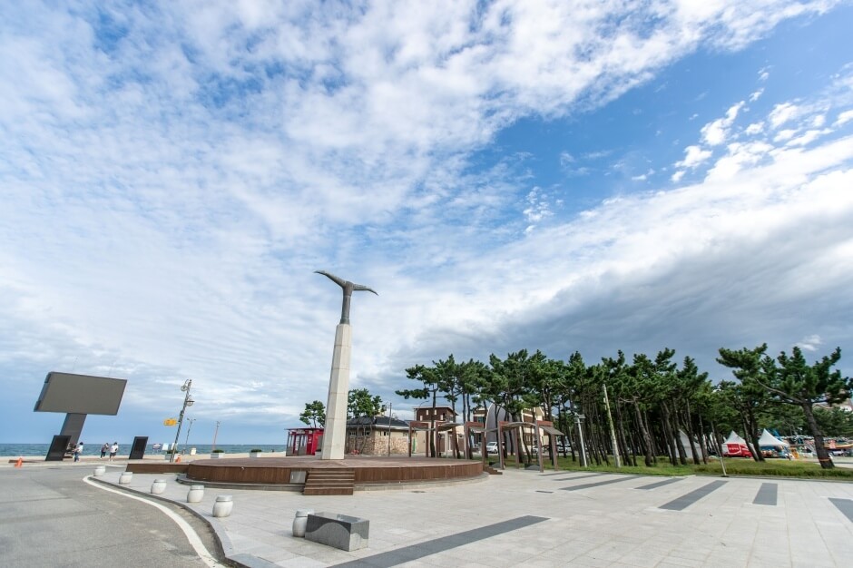 속초 가볼만한곳 베스트 10