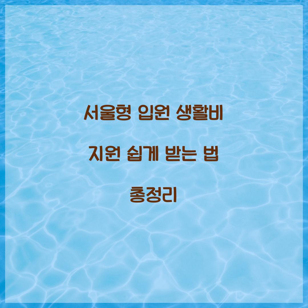 서울형 입원 생활비 지원