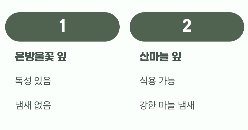 산나물과의 위험한 착각