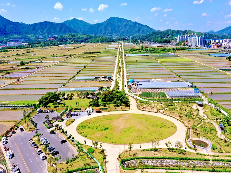 충북 제천 비행장, 삼한의 초록길, 에코브릿지 전망대, 의림지, 예빛마을, 맛집 식당 가볼만한 곳 추천