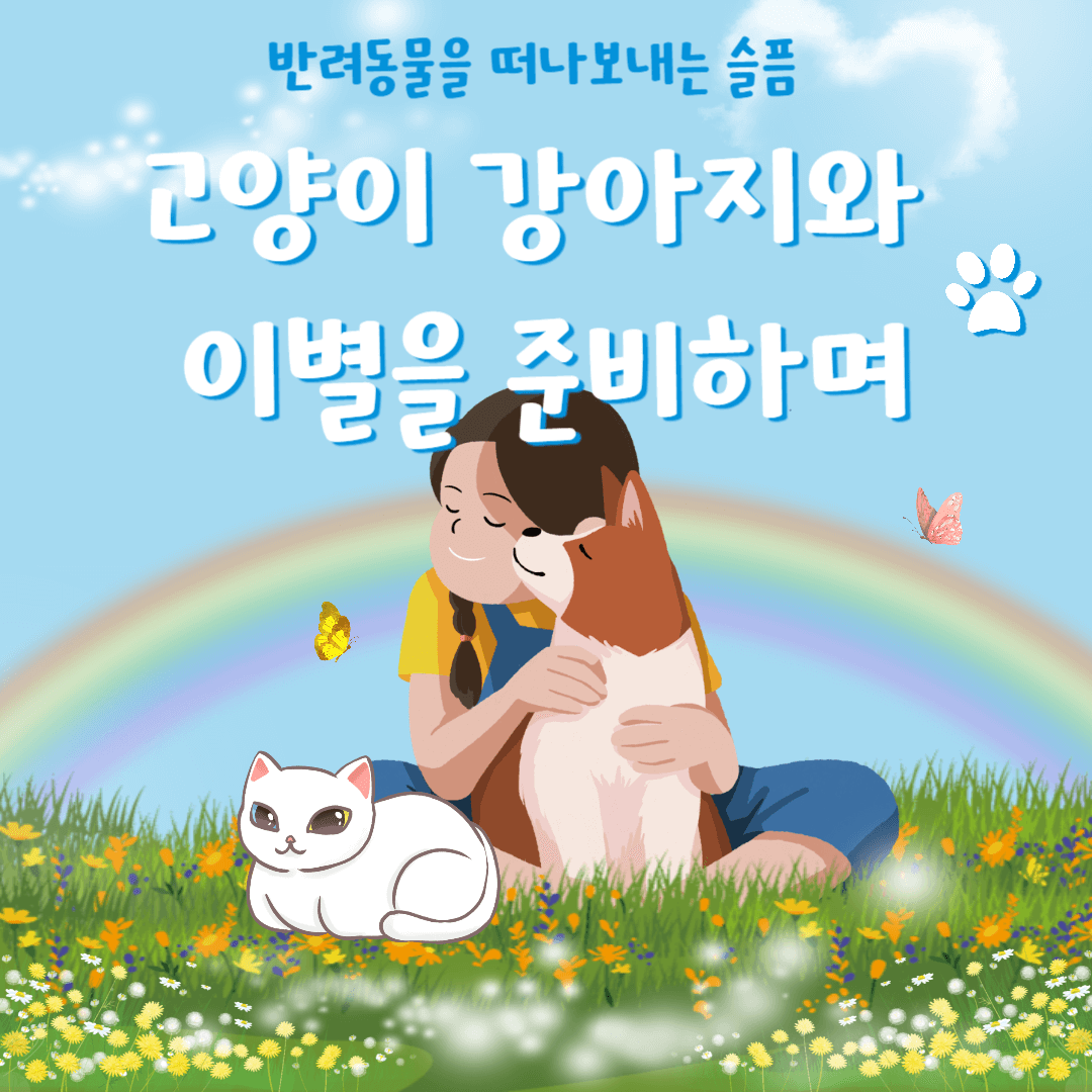 강아지 고양이 장례식장