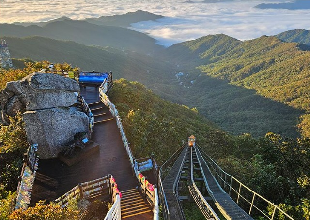 대봉 스카이랜드 모노레일 집라인
