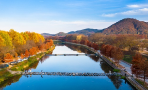 여행-담양-관방제림