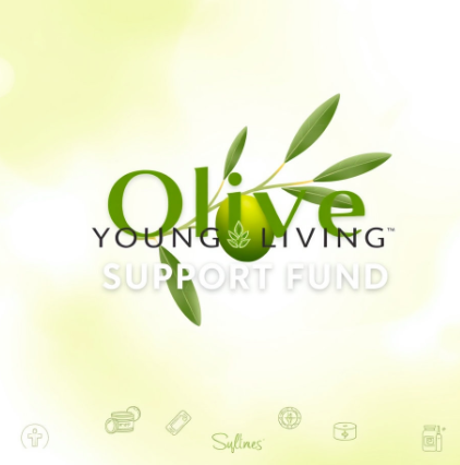 올리브영민생지원금그림