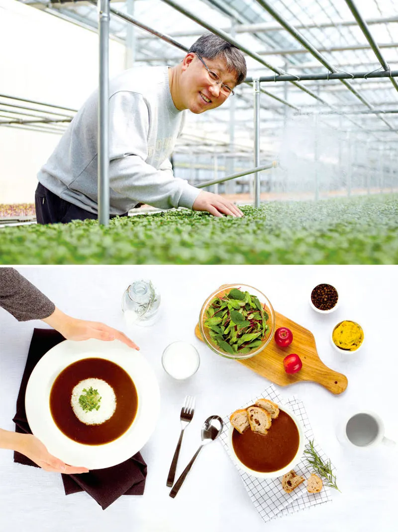 새싹무 재배 씨앗 소독 얇게 파종 통풍 관리_3