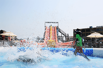 보령머드축제 사진