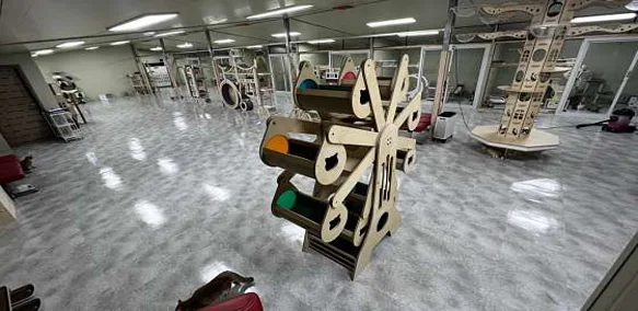 노라쥬