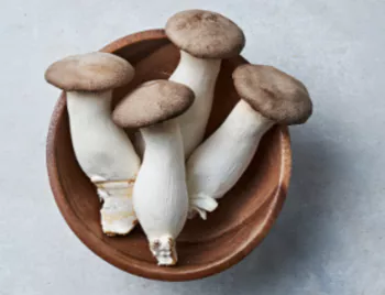 새송이버섯1