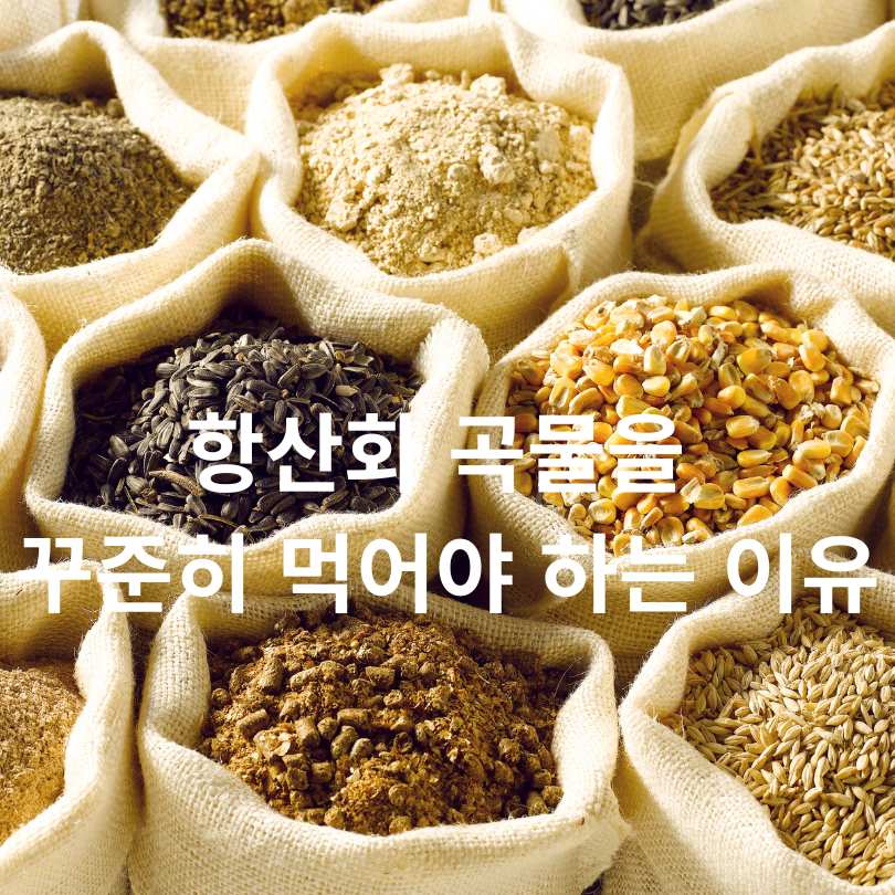 항산화 효과가 높은 곡물 BEST 6