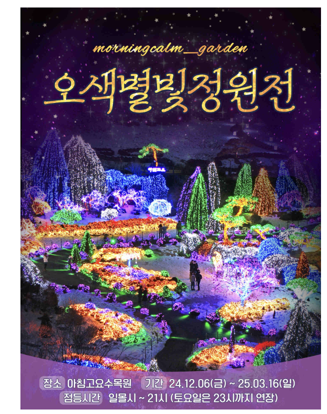 12월 축제
