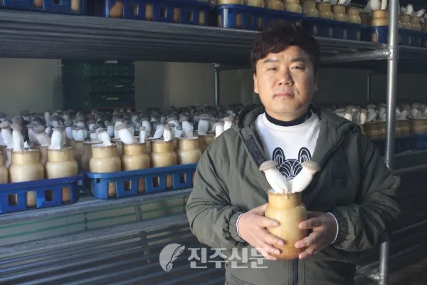 새송이버섯 재배 톱밥 배지 균사 배양 수확 요령_8