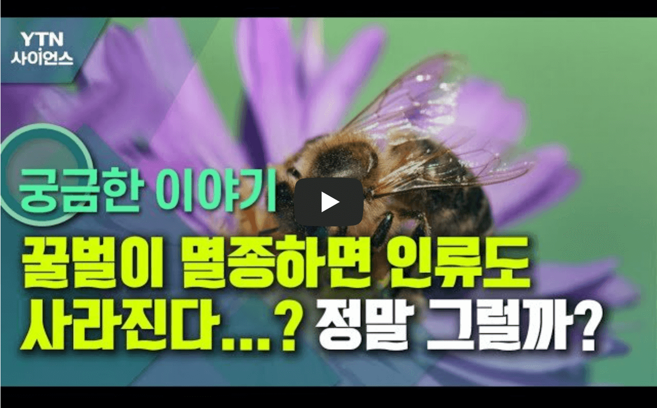 꿀벌의 멸종과 인류의 멸종을 다룬 영상의 섬네일