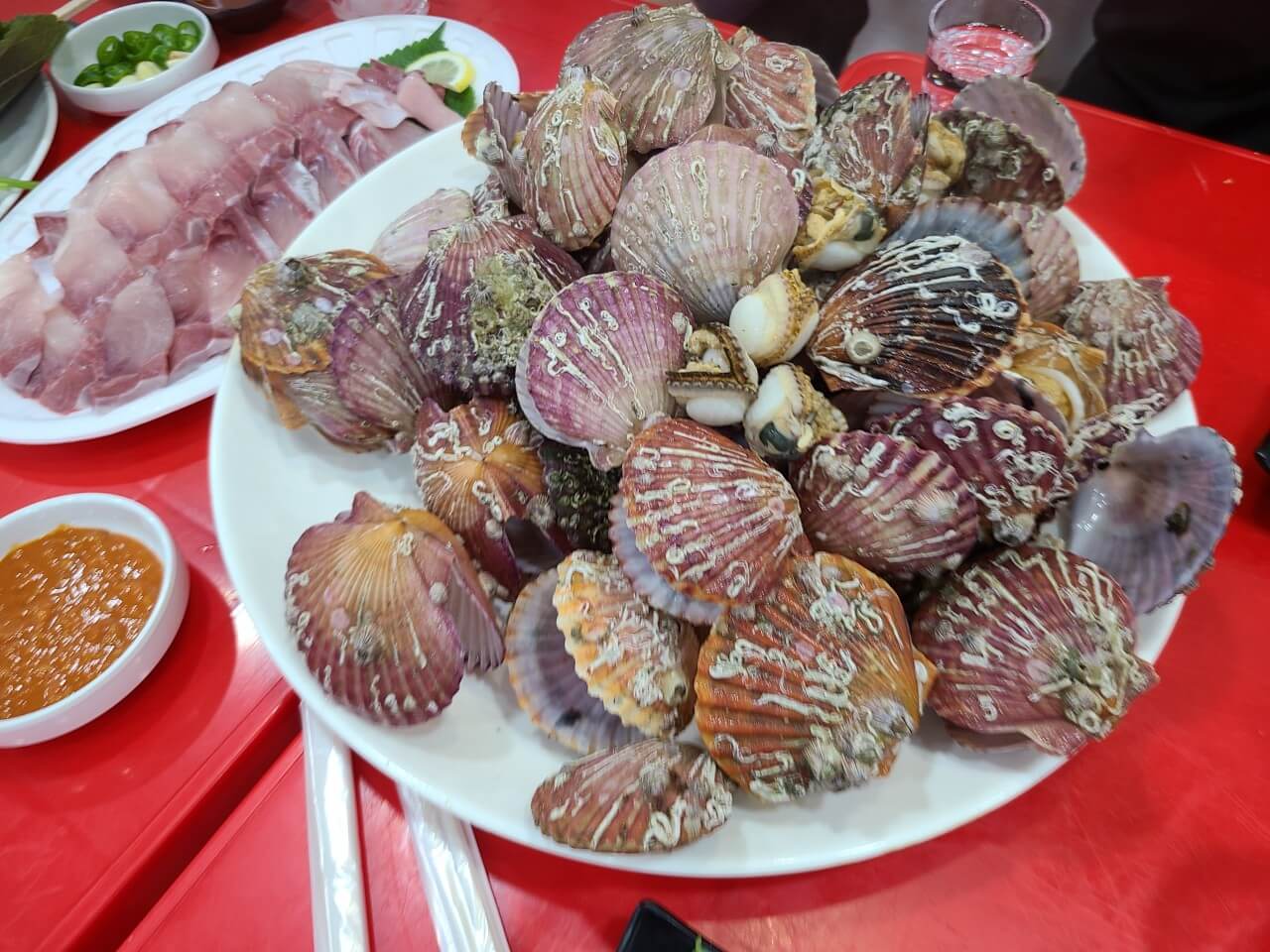 생방송투데이 동대문 모둠회 맛집 정보