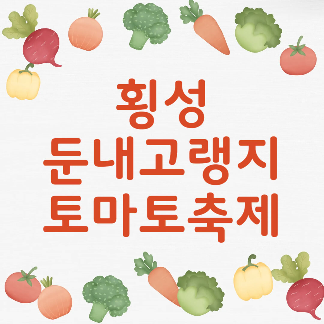 횡성 둔내고랭지 토마토축제