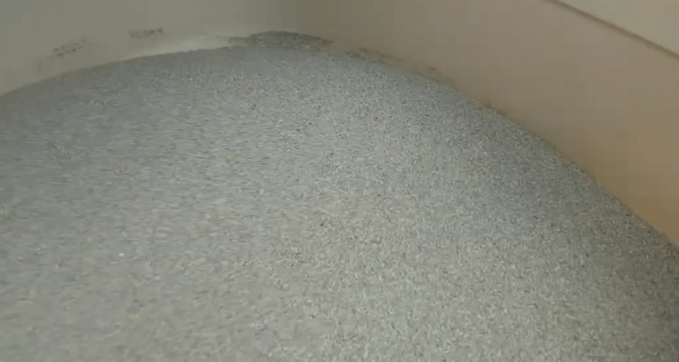  고양이 화장실 모래 추천 BEST 5