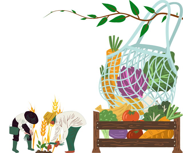 생활 속 플라스틱 줄이기