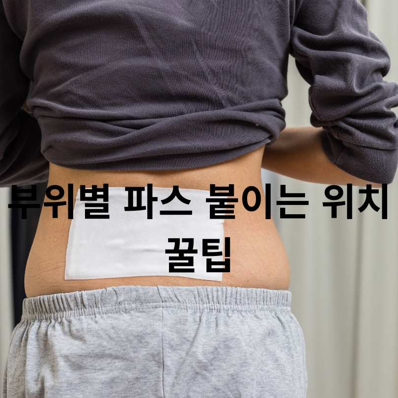 파스 제대로 붙이는 위치 총정리! 증상별 사용법 꿀팁 