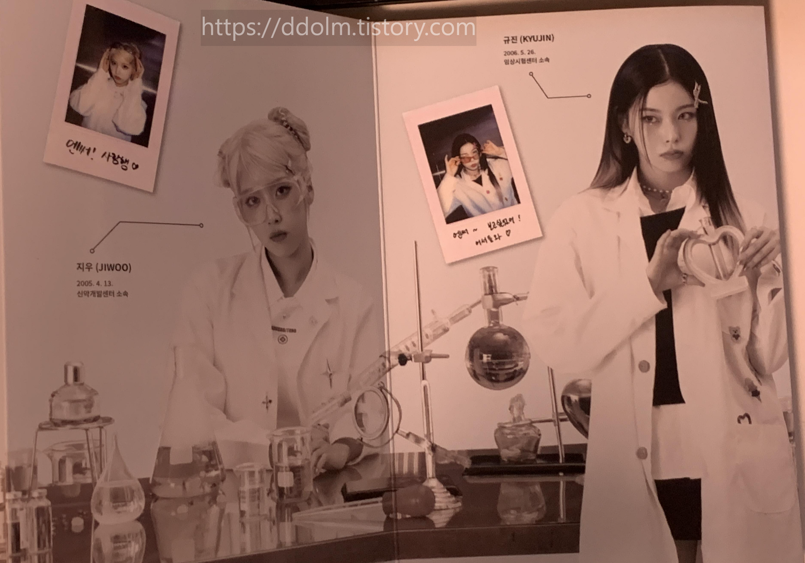 장충체육관 20241005 엔믹스 NMIXX 팬콘서트 엔써키트