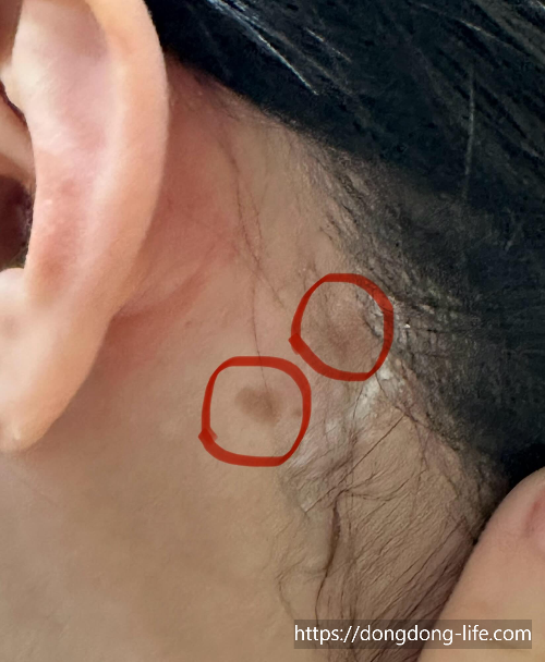 중계의원 기미 리뷰