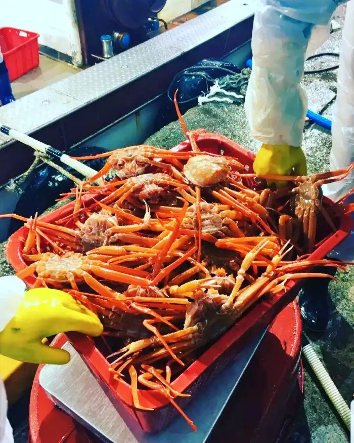 생생 정보마당 포항 구룡포 자연산 홍게 대게 맛집