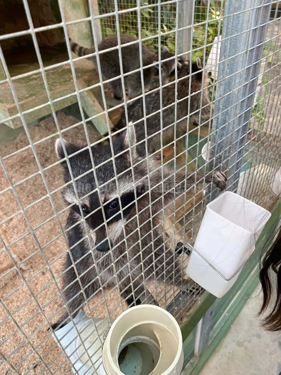 경남 의령 &amp;#39;의령 곤충생태학습관&amp;#39; (1층&amp;#44; &amp;#39;생태 유리온실&amp;#39;)