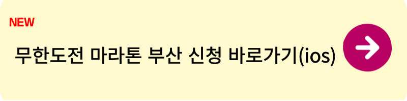 무한도전 마라톤 부산 신청방법2