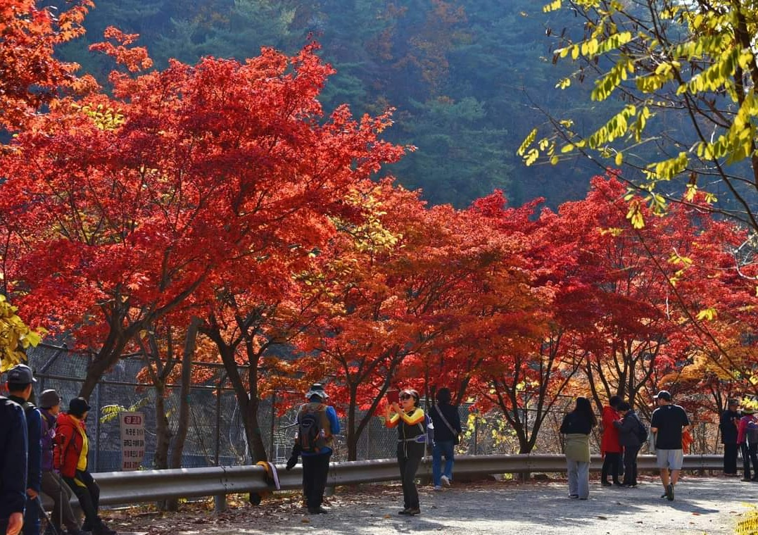 서울대 안양수목원