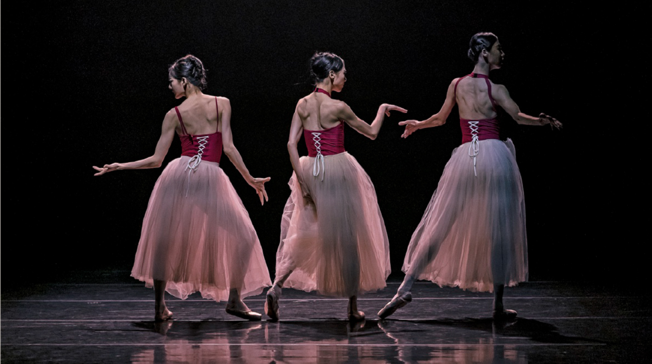 2025 제11회 수원발레축제 완벽 가이드 &amp;#124; 9월 수원제1야외음악당 무료 공연