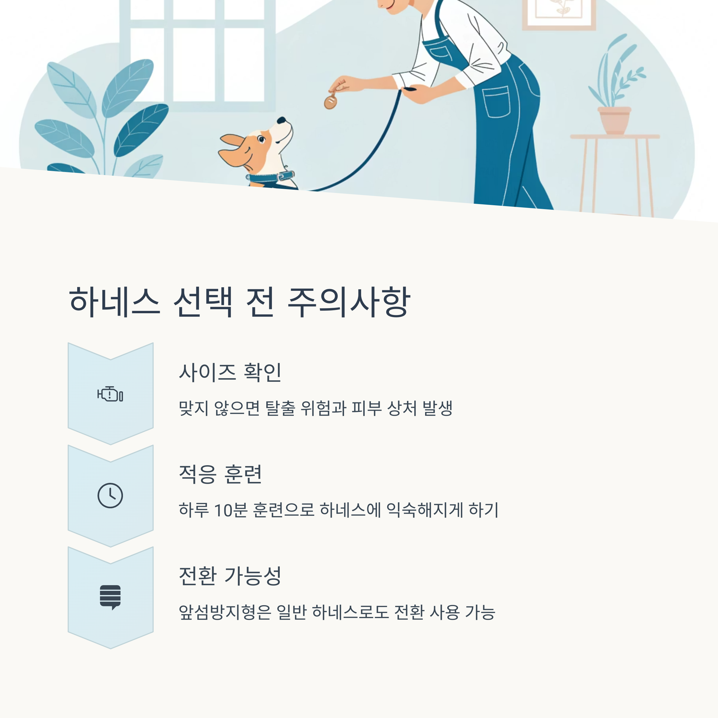 하네스 선택 전 주의사항