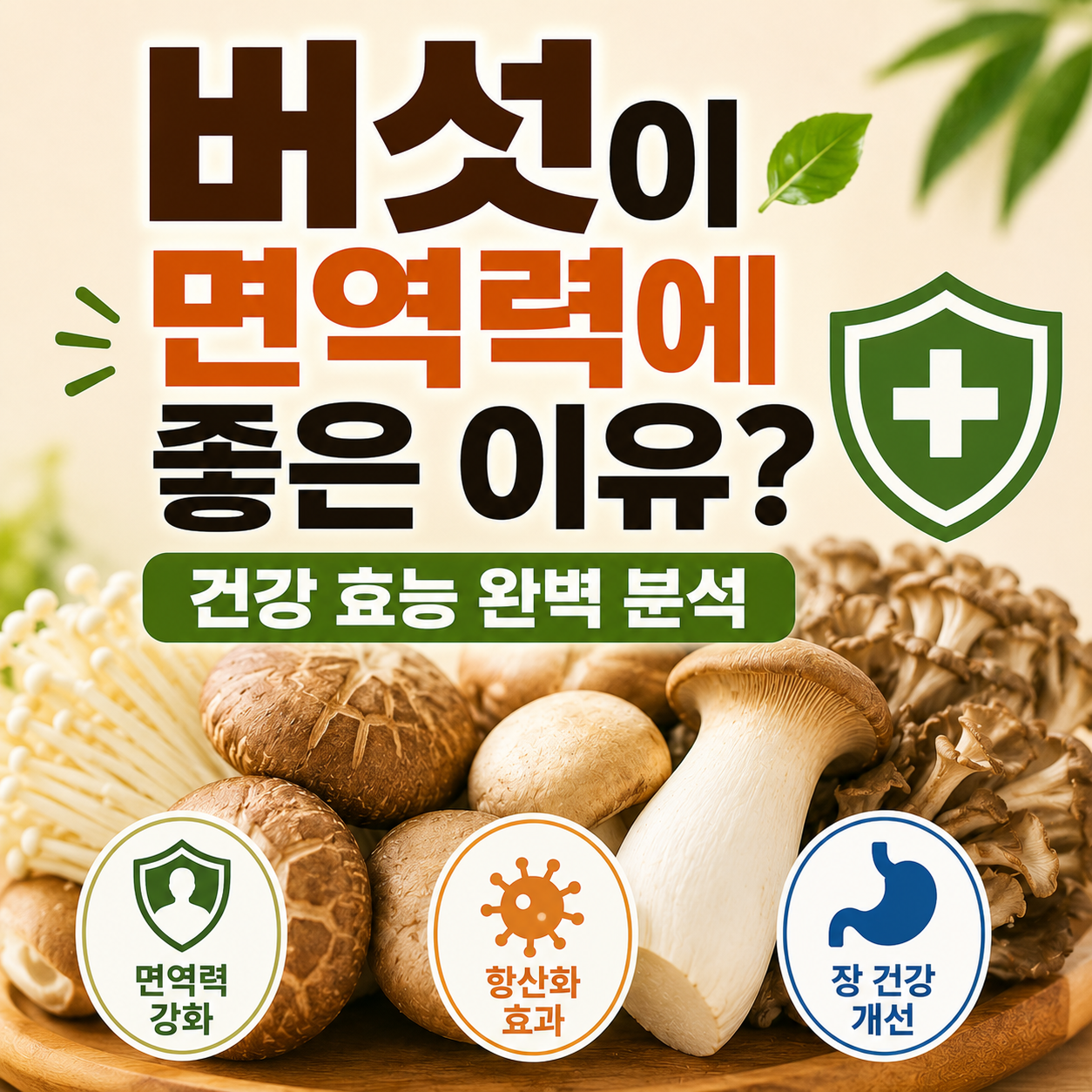 버섯 효능