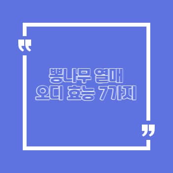 오디 효능 7가지