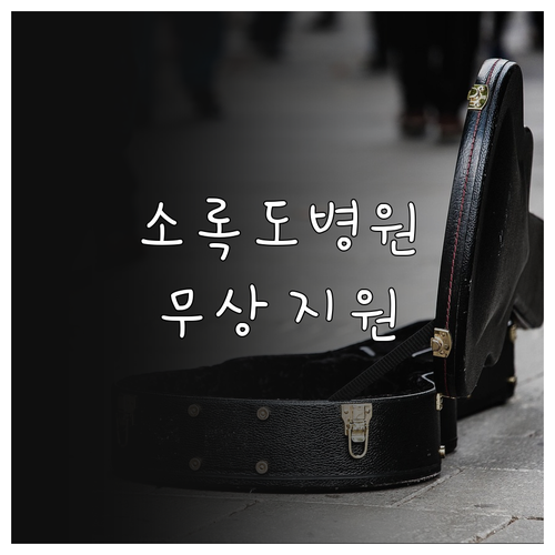 국립소록도병원 2025 입원 환자 무..