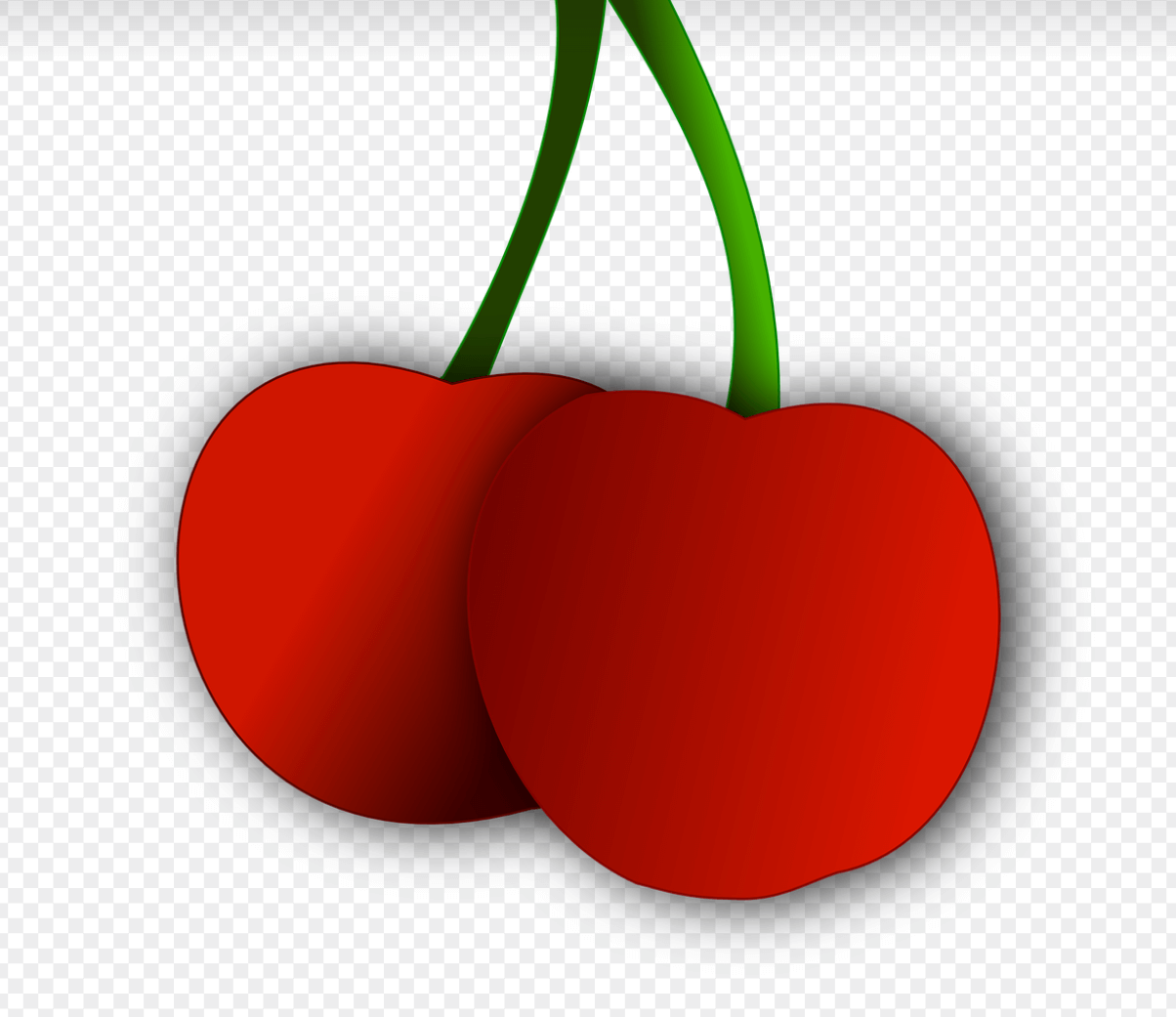 혼자 사는 사람을 위한 금융관리