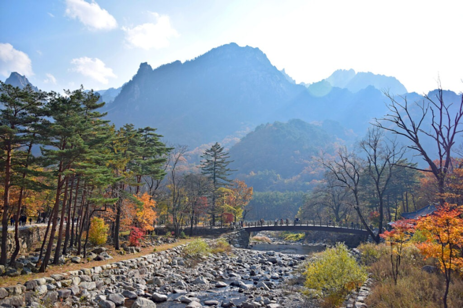 설악산 단풍 절경