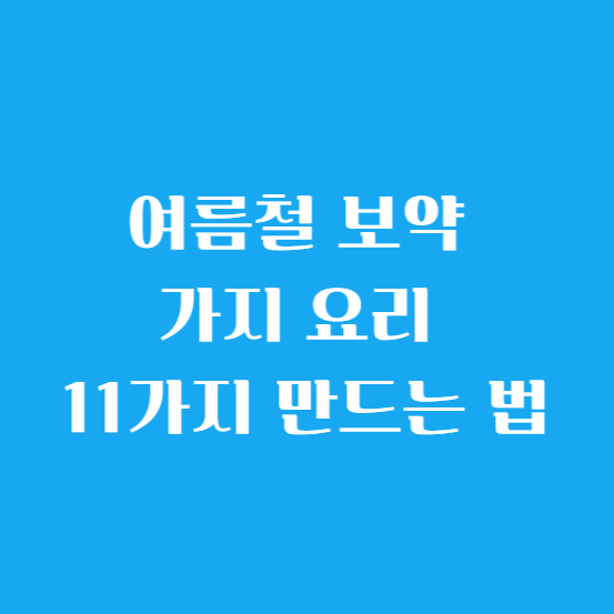 여름철 보약 가지 요리 11가지