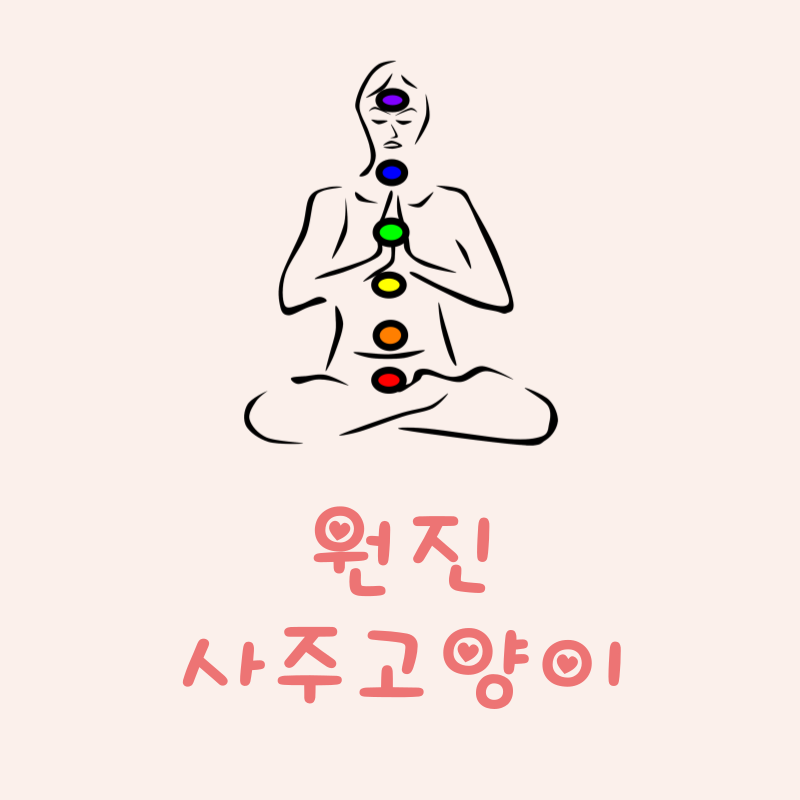 원진이란